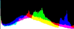 Histogram